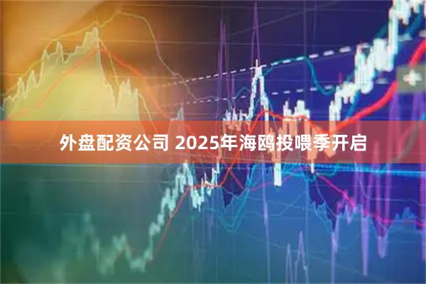 外盘配资公司 2025年海鸥投喂季开启