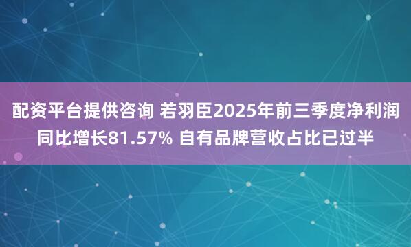 配资平台提供咨询 若羽臣2025年前三季度净利润同比增长81.57% 自有品牌营收占比已过半